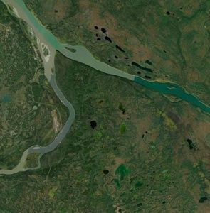 Meet your Posher, Shirley